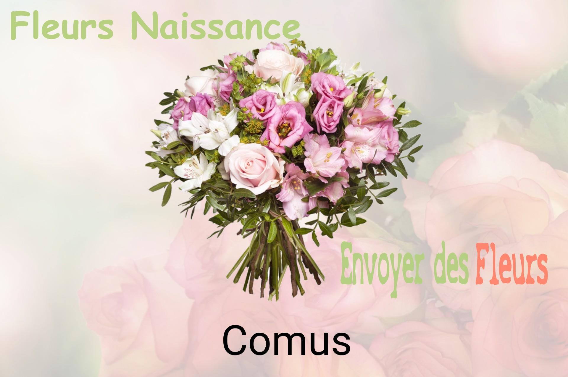 Bouquet de fleurs de naissance livré à Comus